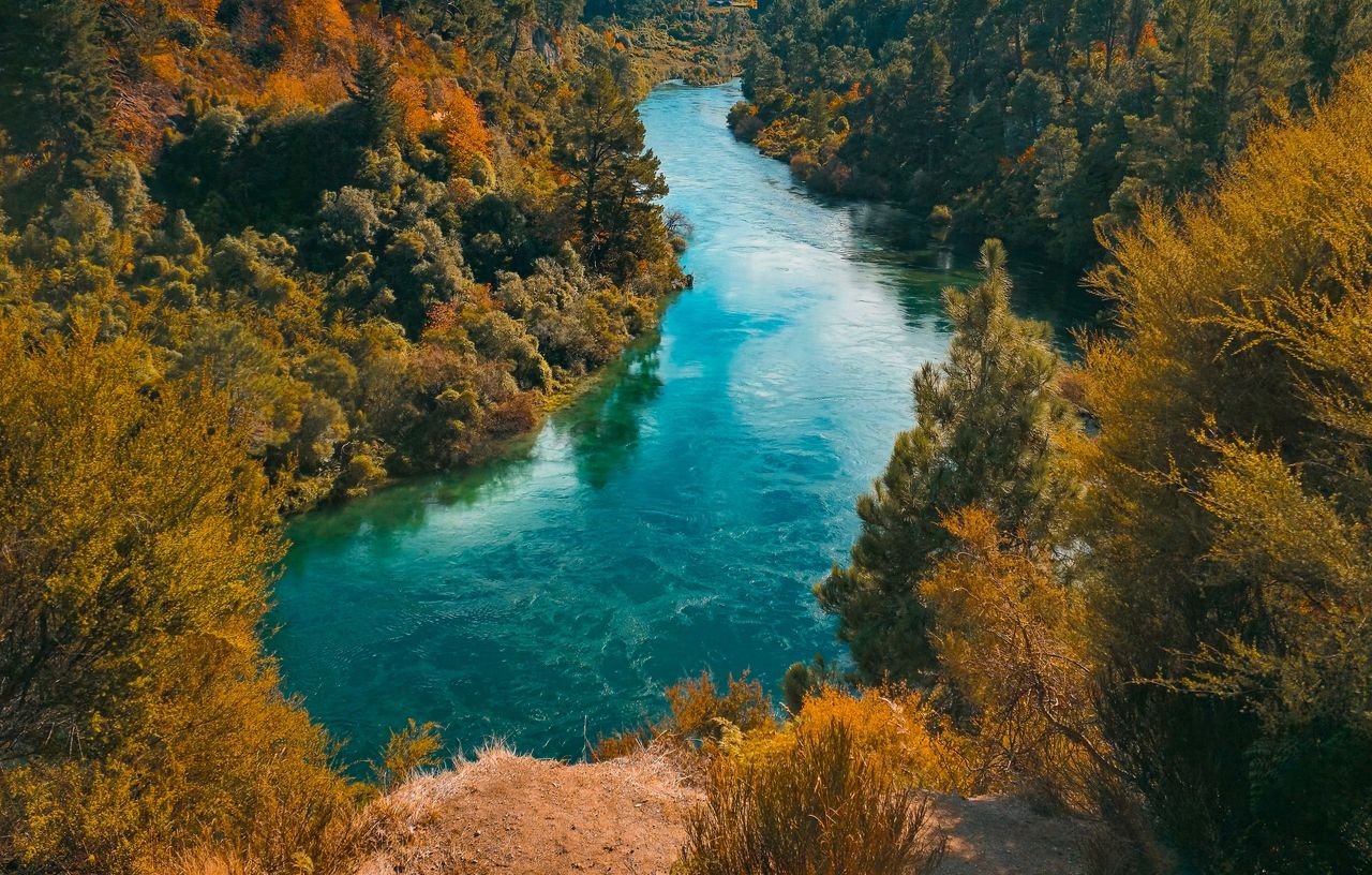 Clear turquoise river flowing between steep banks of golden scrub and dark green trees, seen from a dry grassy clifftop