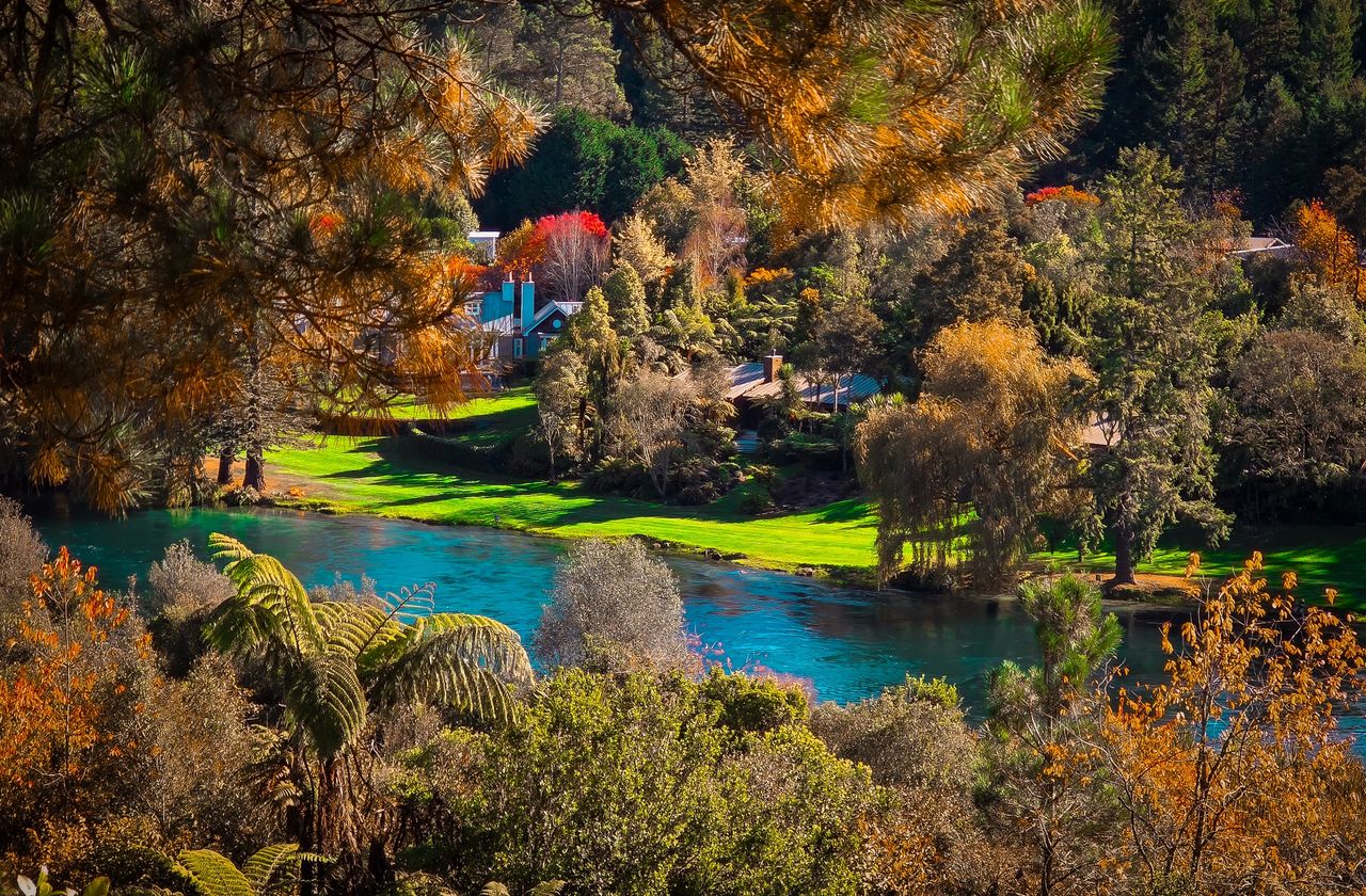 Turquoise river curving past a green lawn and a blue-roofed riverside lodge, framed by tree ferns and autumn foliage