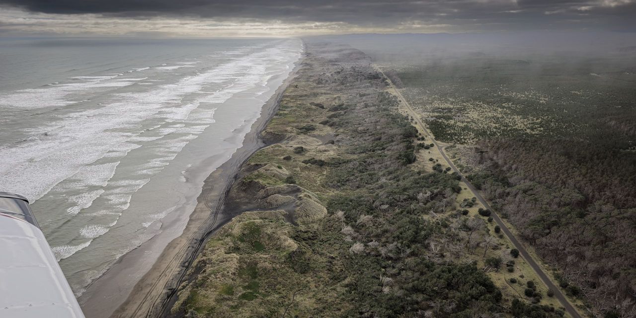 Aerial view of a long surf beach with dark sand, grassy dunes and a straight road beside forest, under heavy grey cloud