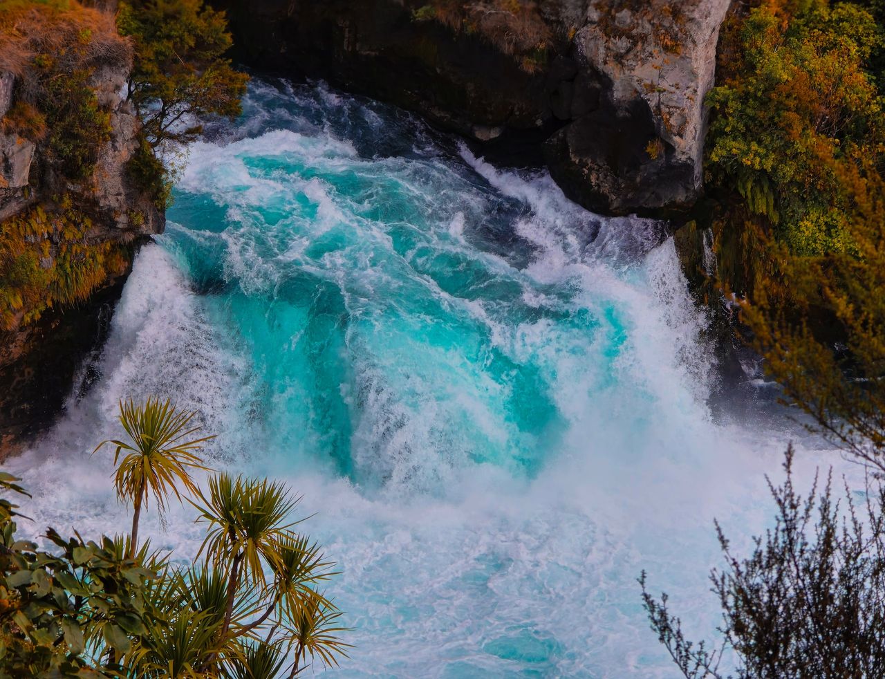 Bright turquoise water plunging over a rocky ledge into white foam, cabbage trees in the foreground and bush on the rock walls