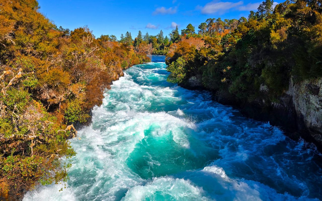 Turquoise and white water surging down a narrow rocky channel between green and autumn-coloured bush under a clear blue sky