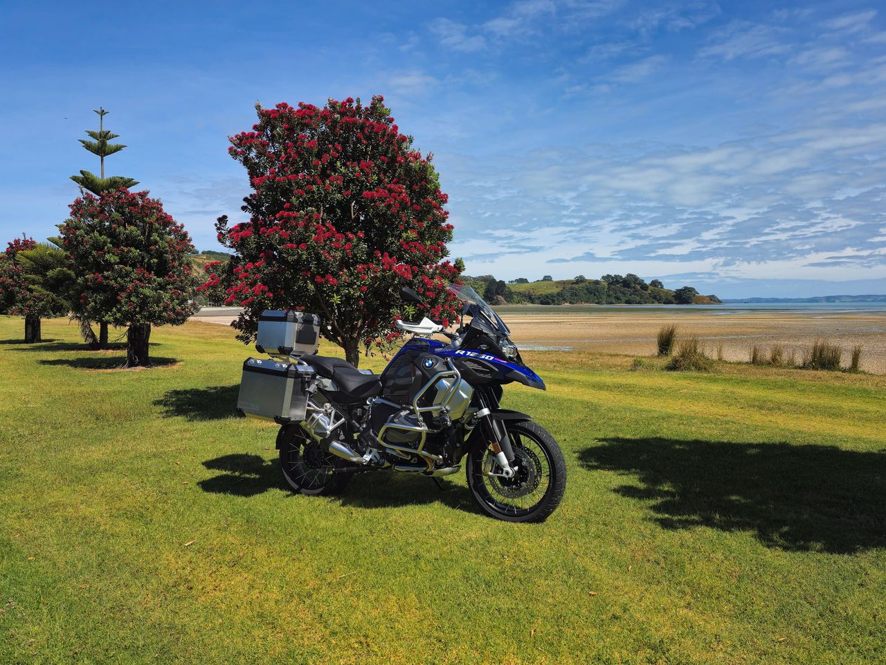 Blue BMW R 1250 GS Adventure with aluminium panniers parked on grass under red-flowering pōhutukawa, beside tidal flats