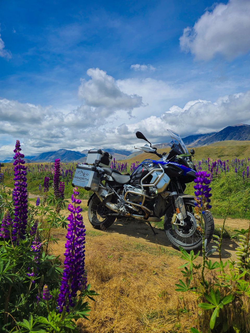 Blue BMW R1250GS Adventure with Wandrith panniers on a gravel track among purple lupins, tussock hills and mountains under a cloudy sky
