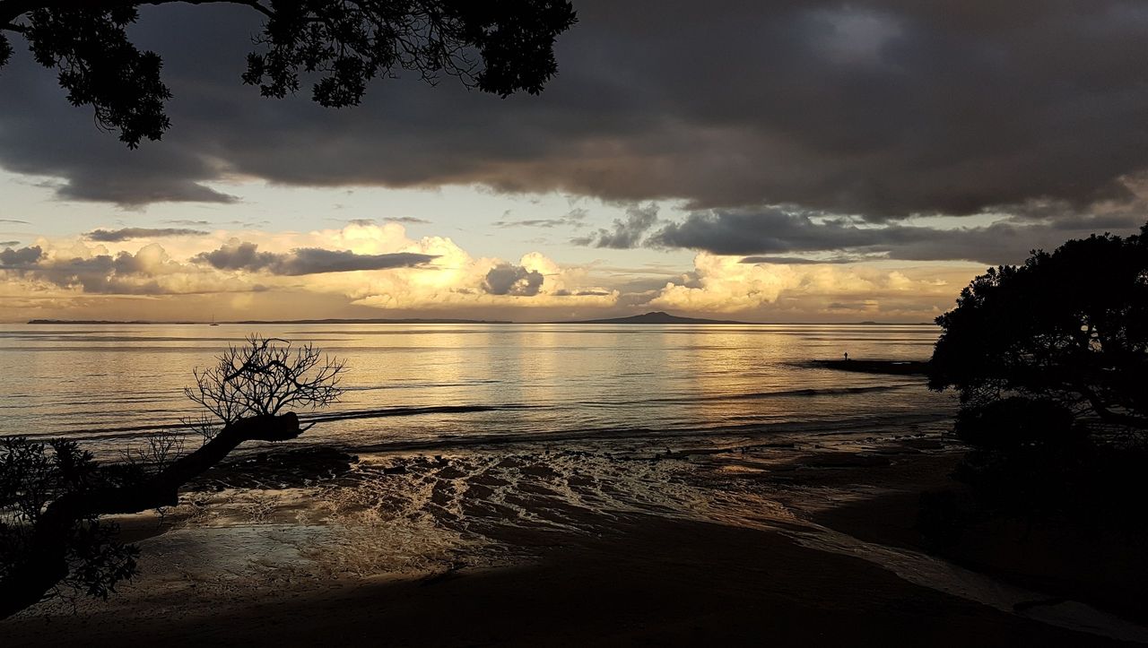 Low tide at dusk, pōhutukawa branches silhouetted in front, Rangitoto Island's low volcanic cone on the horizon under heavy cloud