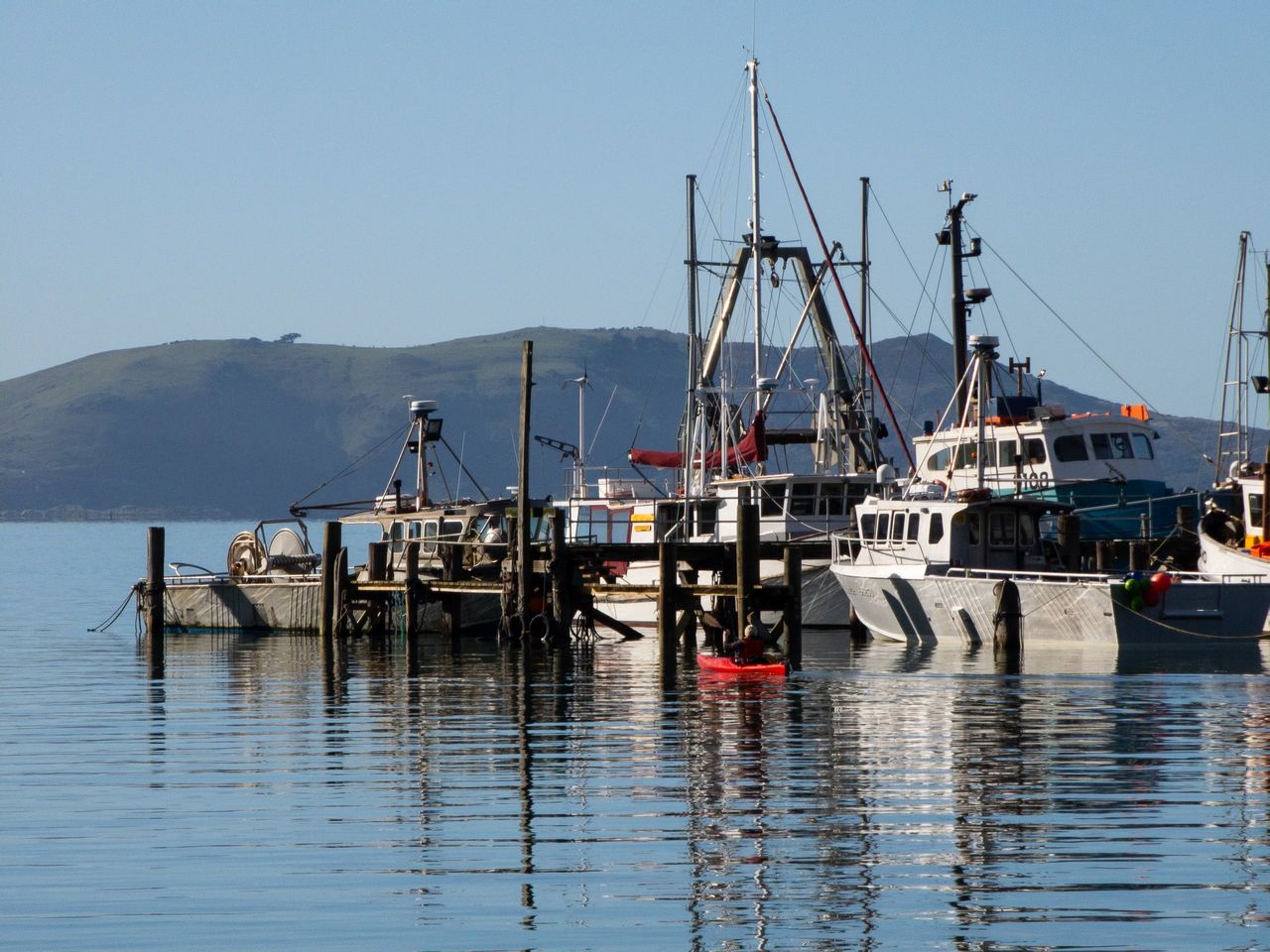 Fishing boats moored at a timber wharf on mirror-calm water, a person in a red kayak paddling past, green hill behind